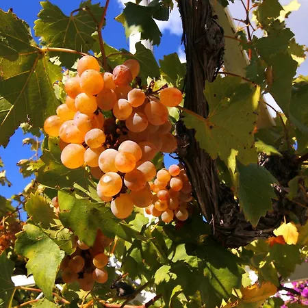 Apartments By The Sea Duce, Omis - 7576 Duce